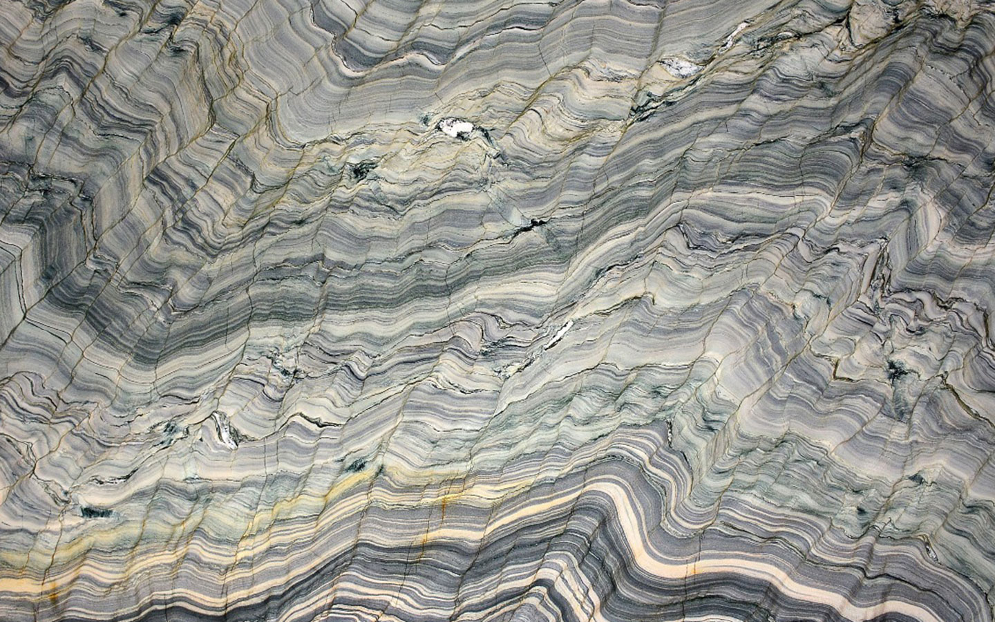 Monalisa
